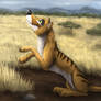 Jiemba the Thylacine