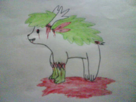 Skye the shaymin