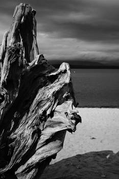 evening beach