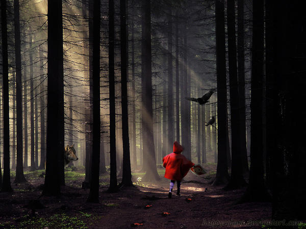 I Will Follow You by happycolors I Will Follow You by happycolors