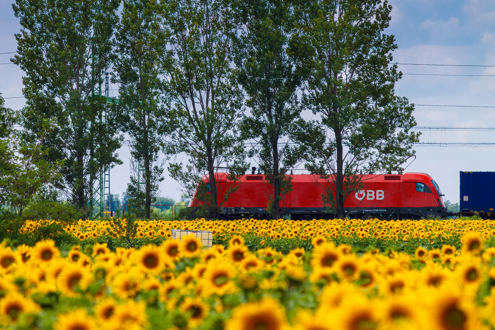 Waiting train