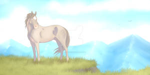 CV | Thora #10 | Tracker