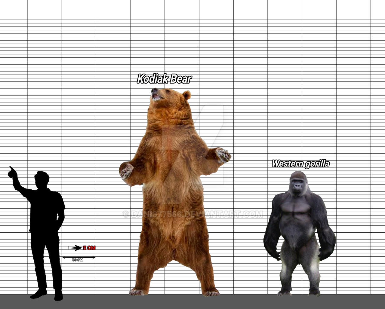KODIAK BEAR VS WESTERN GORILLA By Dani677566 On DeviantArt kodiak-bear-vs-western-gorilla-by-dani677566-on-deviantart