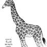 Tall Giraffe