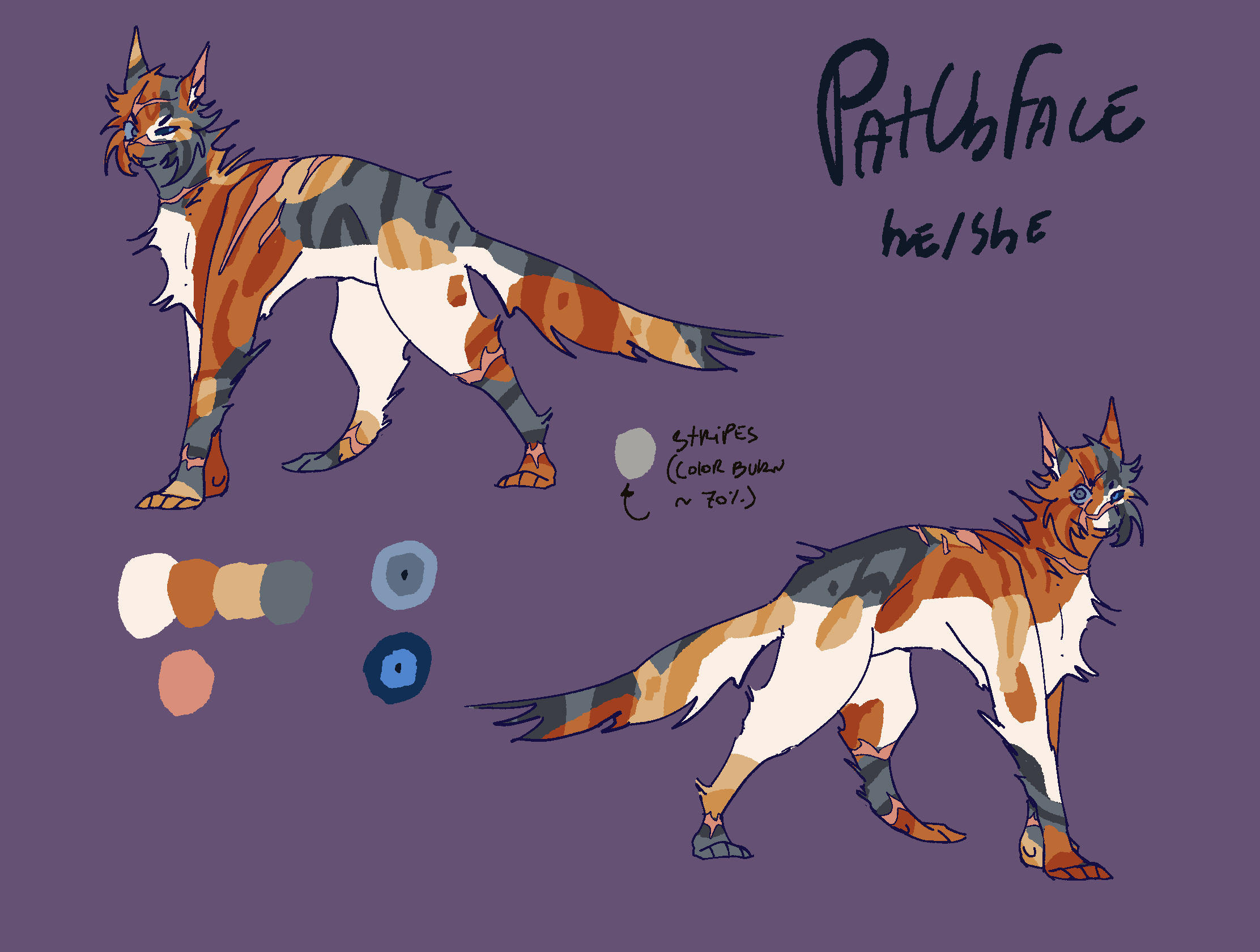 Patchface Ref by AcolorBoOM on DeviantArt