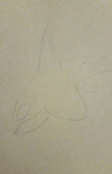 Orca Sketch On Recycabled Paper