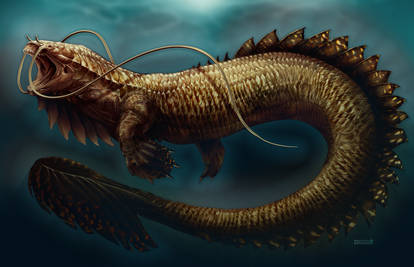 C: Bichir Design