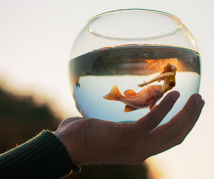 20190902 Mermaid in a Fishbowl