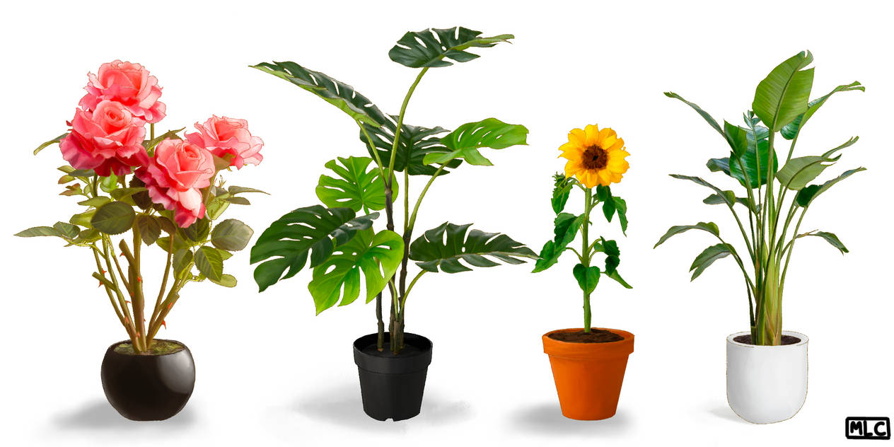 Plant Deviantart Plants by mlconstantine on DeviantArt