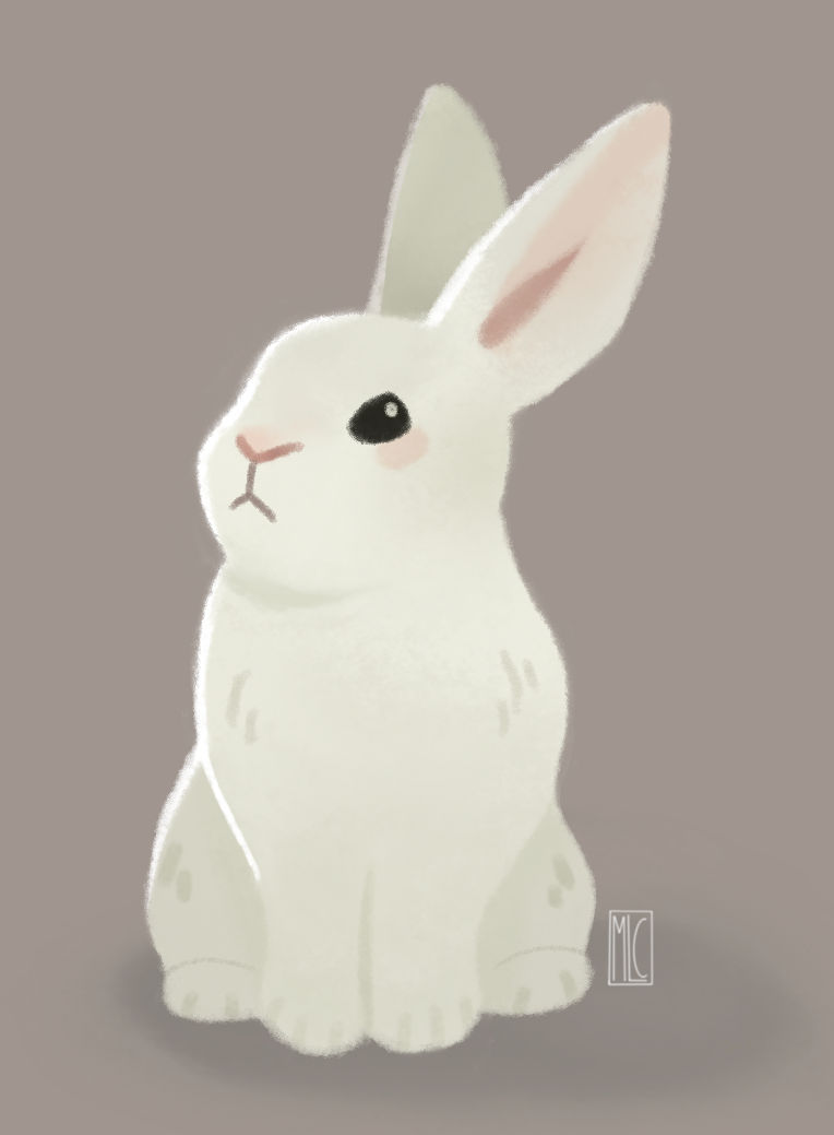 Bunny by mlconstantine on DeviantArt