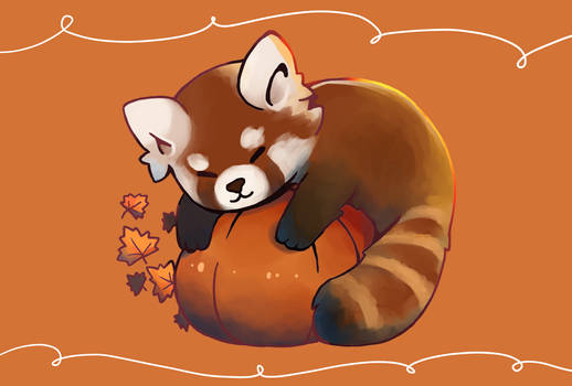 Red Panda