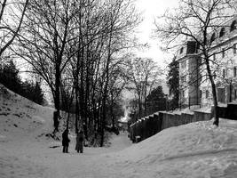 To The Cemetary Between Houses and Park