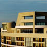 Bay Lake Towers 2