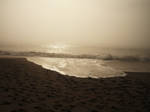 beach by shannon2693