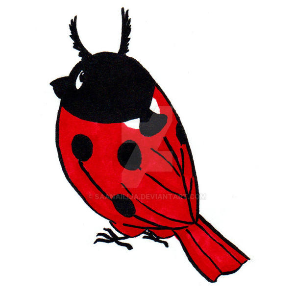 Literal Ladybird