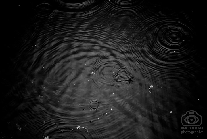 circles water