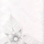 Flower on blank page