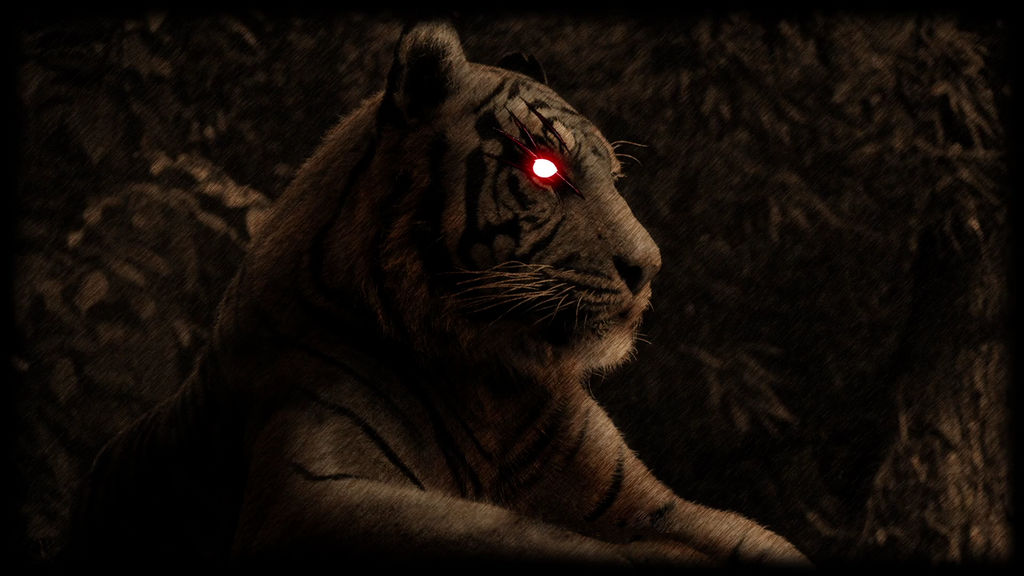 Life Of Black Tiger Wallpaper 7 By Daytimetiger On Deviantart