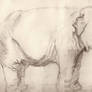 elephant drawing