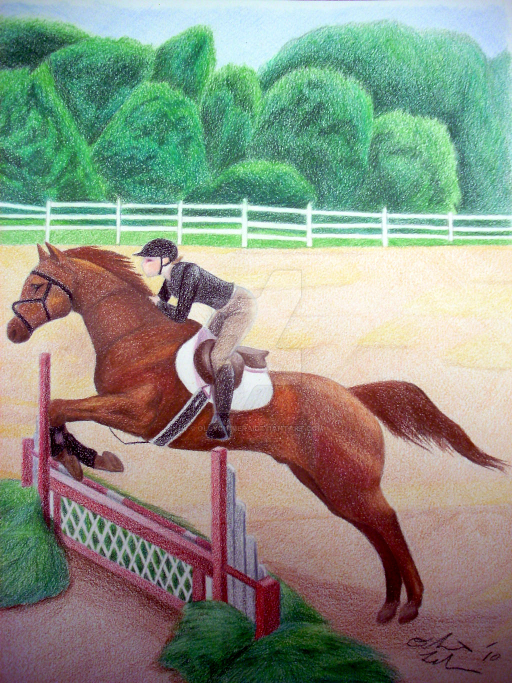 Horse Commission