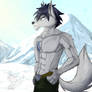 Grey_wolf