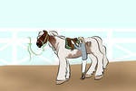 A saddle? by LifeAsRose