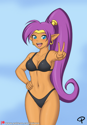 Shantae is free
