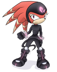 Shade The Echidna