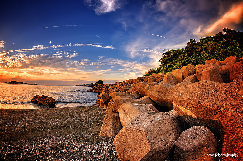 Tetrapods