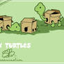 Box Turtles