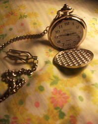 Pocket watch