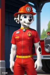 Marshall Paw patrol