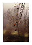 Autumn 4 by kindledeath