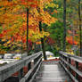 Autumn Bridge