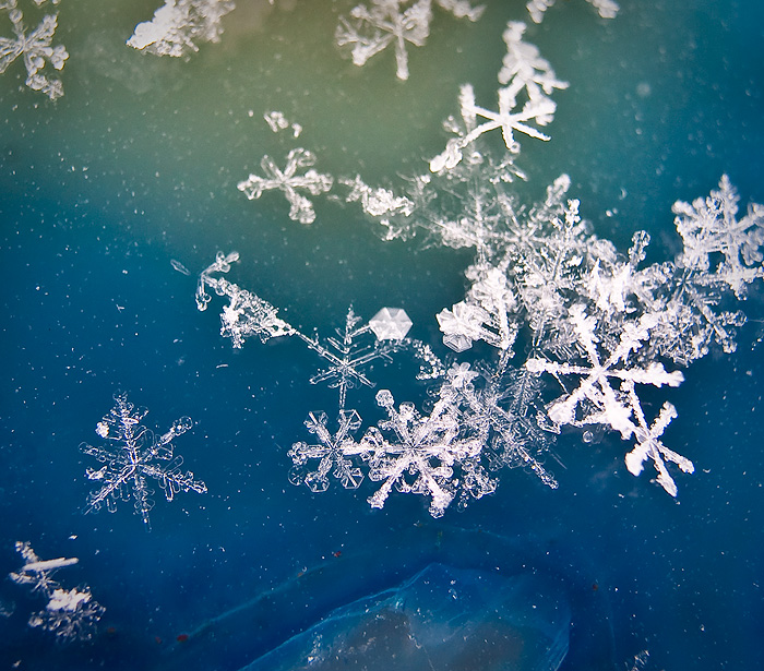 Snowflakes on Blue