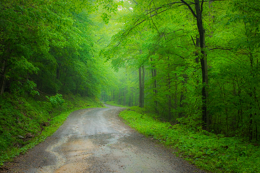 The Road to Dolly Sods