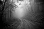 Leaving Dolly  Sods by LAlight