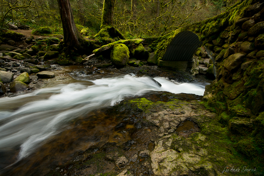 Multnomah Creek