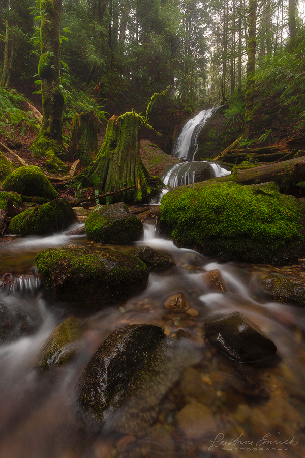 Coal Creek Falls