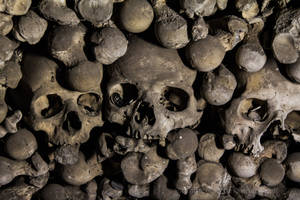 Sedlec Ossuary 1