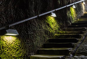 Mossy Cellar