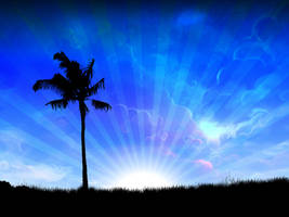 Palm Tree Dreams - edited