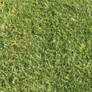 Grass texture ~Stock