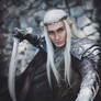 Thranduil's attack