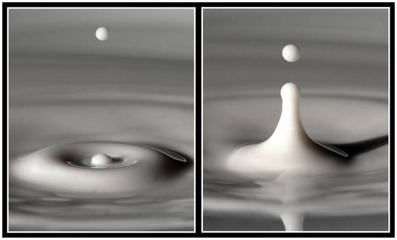 A Drop of Milk