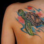 Sea turtle