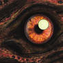 Eye of a Queen