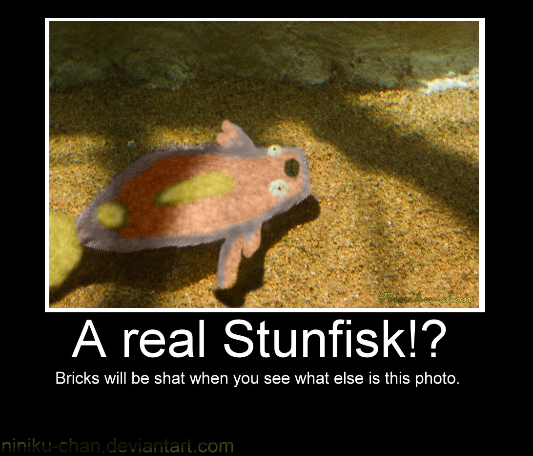 Real Stunfisk bricks will be shat