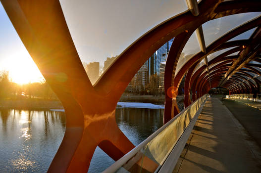 morning peace bridge