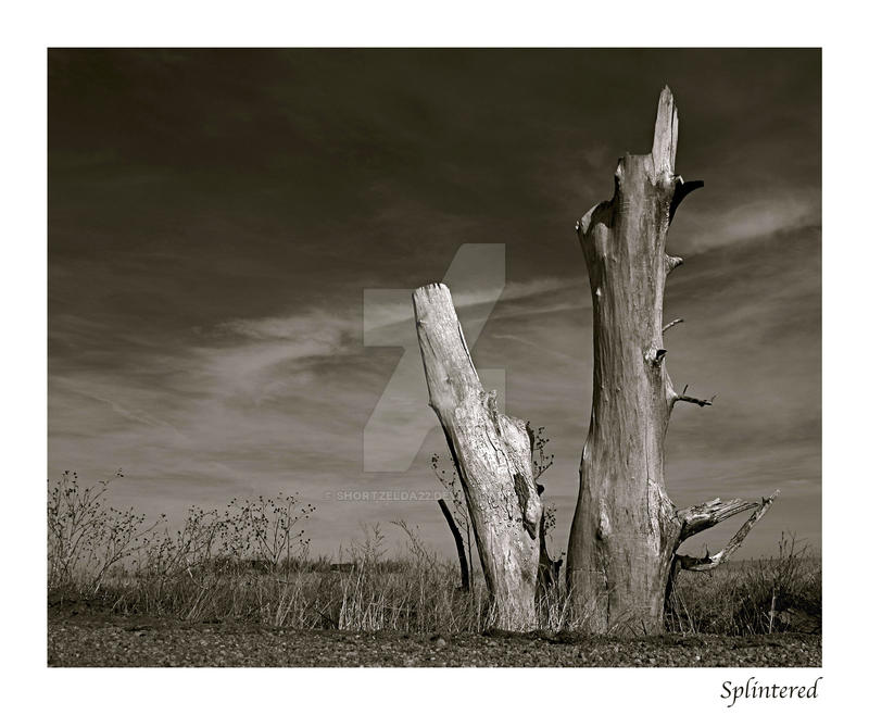 Splintered Posts Splintered by shortzelda22 on DeviantArt